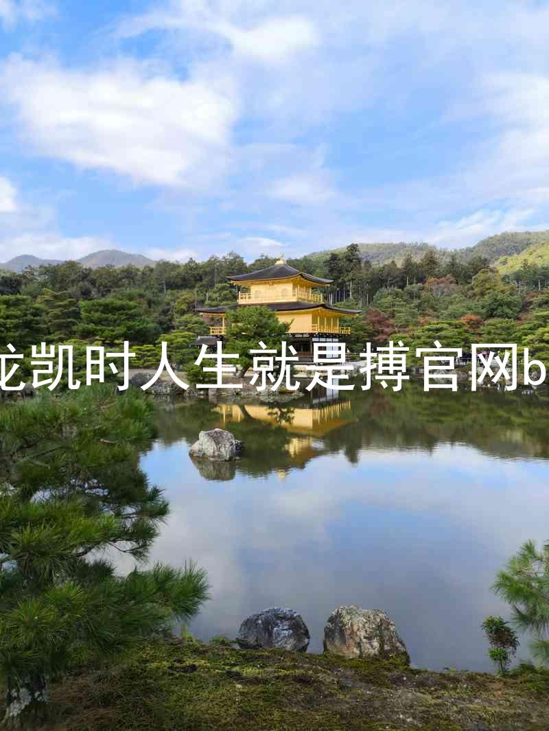 尊龙凯时人生就是搏官网bjl8