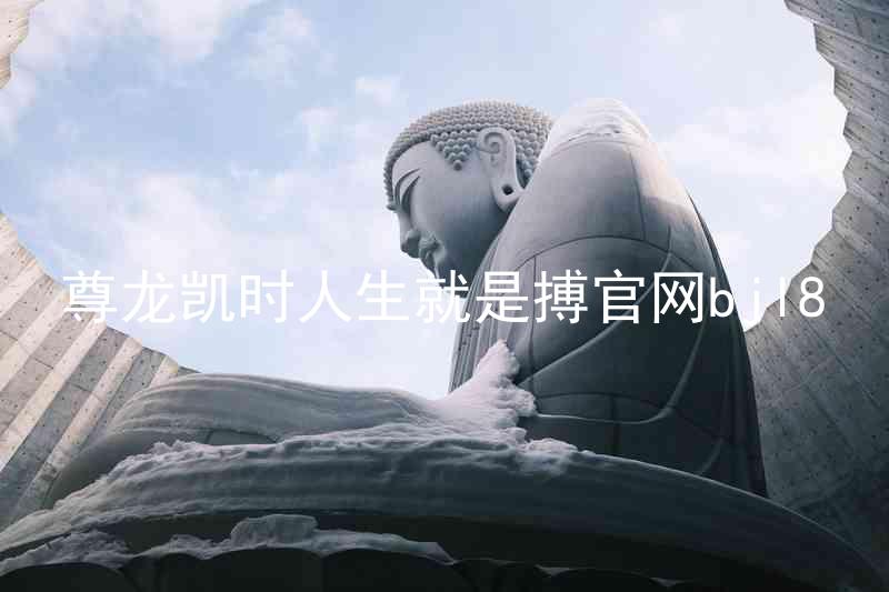 尊龙凯时人生就是搏官网bjl8