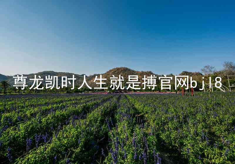 尊龙凯时人生就是搏官网bjl8