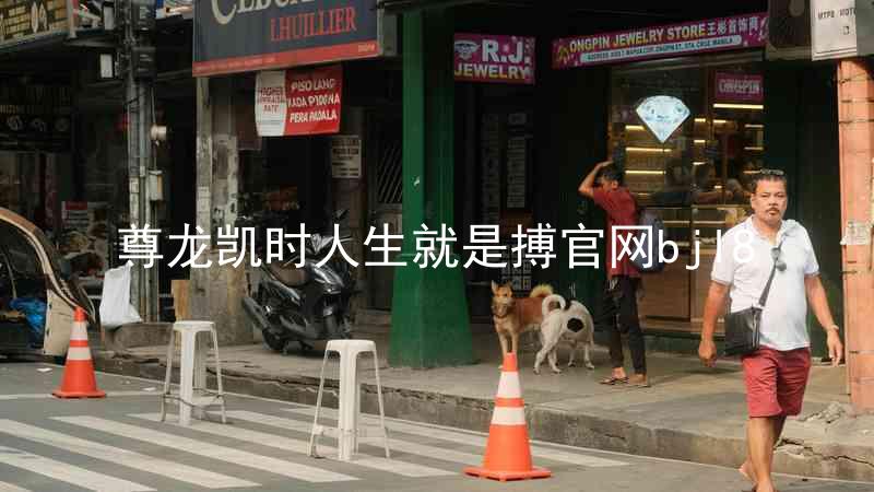 尊龙凯时人生就是搏官网bjl8
