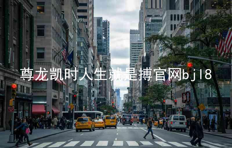 尊龙凯时人生就是搏官网bjl8